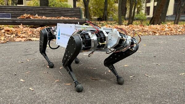 莫斯科大学推出俄罗斯首条四足机器人狗 - 俄罗斯卫星通讯社