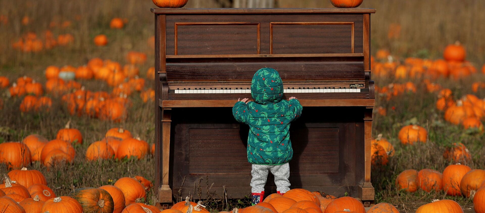 Ребенок играет на пианино на тыквенном поле фермы Pop Up Farm в Великобритании в преддверии Хэллоуина - 俄羅斯衛星通訊社, 1920, 25.10.2021