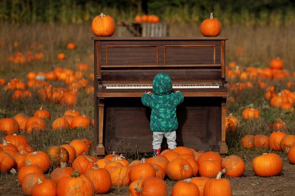 英国，万圣节前夕，一个孩子在Pop Up Farm农场的南瓜地里弹钢琴。 - 俄罗斯卫星通讯社