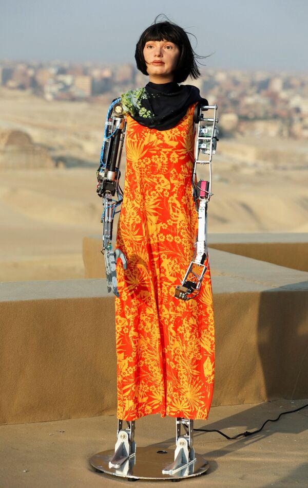 機器人藝術家艾達在埃及參加展覽。 - 俄羅斯衛星通訊社