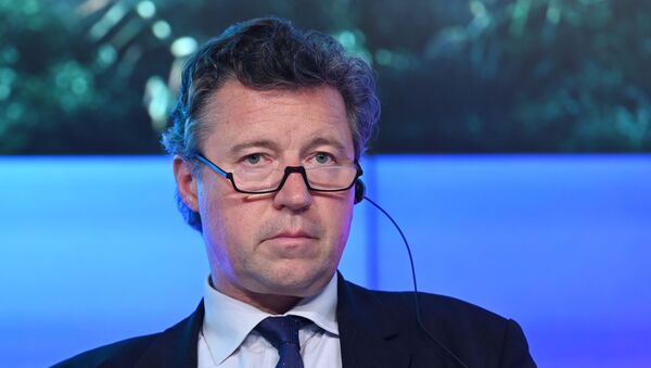 德国大使：天然气价格危机是全欧洲面临的问题 - 俄罗斯卫星通讯社