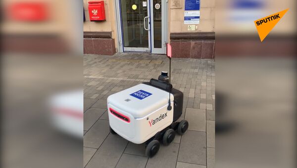 俄羅斯郵政機器人 - 俄羅斯衛星通訊社