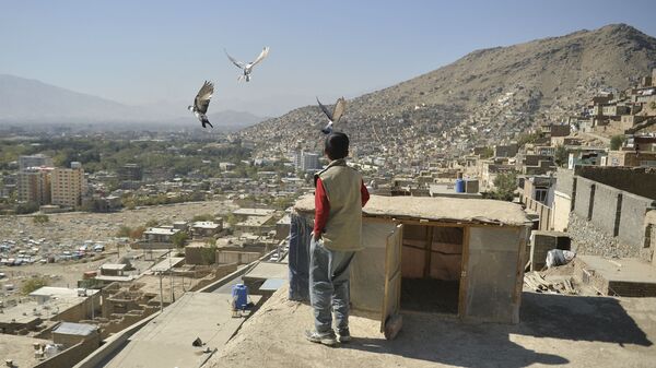 Мальчик на одной из крыш Кабула - 俄羅斯衛星通訊社