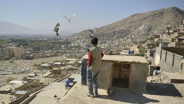Мальчик на одной из крыш Кабула - 俄羅斯衛星通訊社
