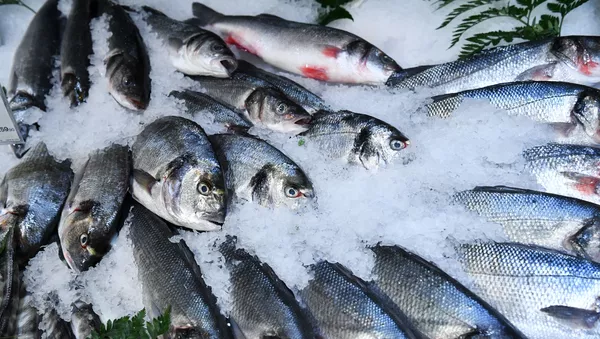 自年初起俄对华出口26.39万吨鱼类和海产品 - 俄罗斯卫星通讯社