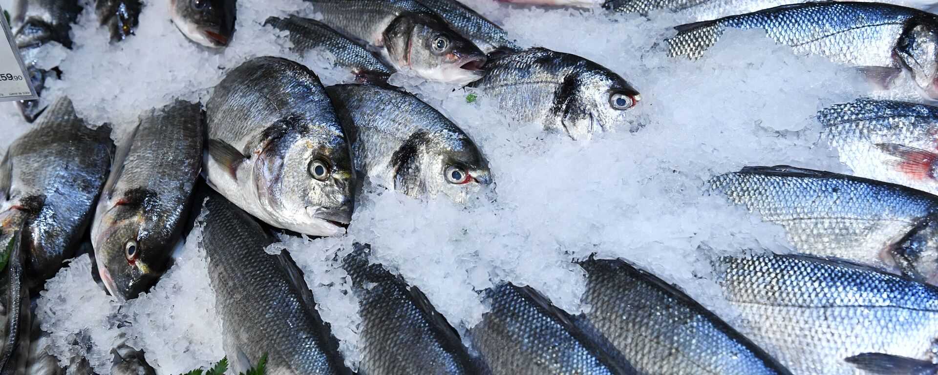 俄联邦渔业署：2023年第一季度俄中两国水产品贸易额同比增长80% - 俄罗斯卫星通讯社, 1920, 27.05.2023