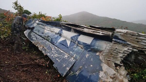 俄地理学会考察队在堪察加半岛发现二战时期美军飞机残骸 - 俄罗斯卫星通讯社
