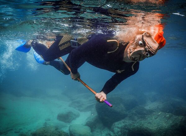 身着万圣节服饰的潜水者在水下拍照。 - 俄罗斯卫星通讯社