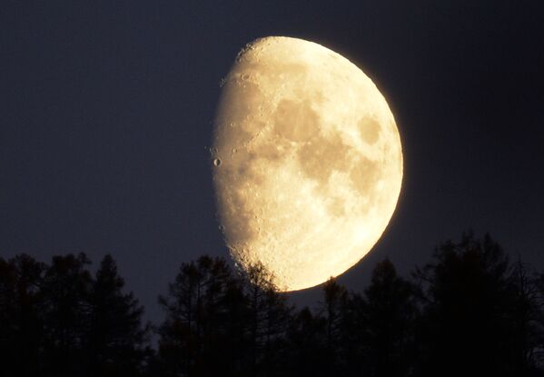  哈卡斯原始森林上空的月亮。 - 俄罗斯卫星通讯社