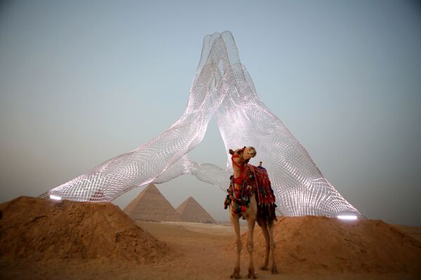 意大利艺术家洛伦佐•奎因（Lorenzo Quinn）“永恒就是现在”展览在埃及吉萨金字塔举办。图为在展览区的骆驼。 - 俄罗斯卫星通讯社