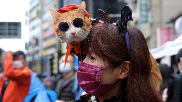 Девушка с котом на параде в честь Хэллоуина на Тайване  - 俄羅斯衛星通訊社
