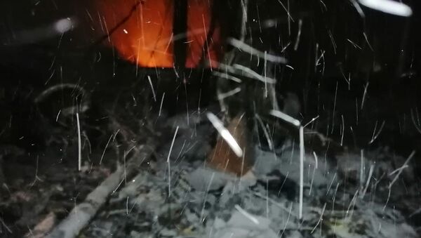 На месте крушения самолета Ан-12 в Иркутской области - 俄罗斯卫星通讯社