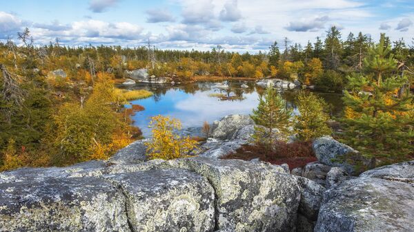 芬兰人想在南卡累利阿区建北约基地