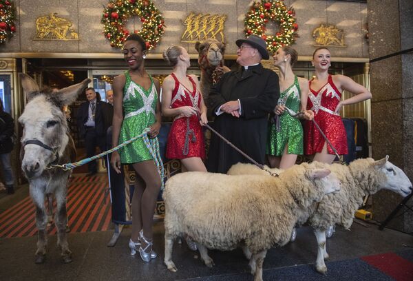 紐約教區紅衣主教蒂莫西·多蘭和紐約無線電城音樂廳舞團“火箭女郎”，牽著駱駝、綿羊和驢參加在紐約無線電城音樂廳舉行的聖誕劇演出。 - 俄羅斯衛星通訊社
