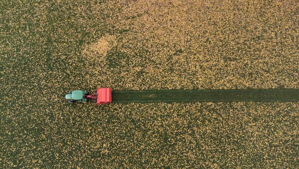 瑞士苏黎世，拖拉机正在收集落叶。 - 俄罗斯卫星通讯社