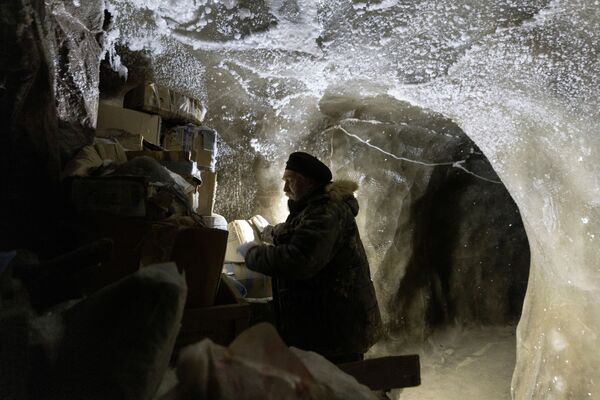 谢尔盖•济莫夫正在检查雅库特更新世公园地下永久冻土层中储存的材料。 - 俄罗斯卫星通讯社