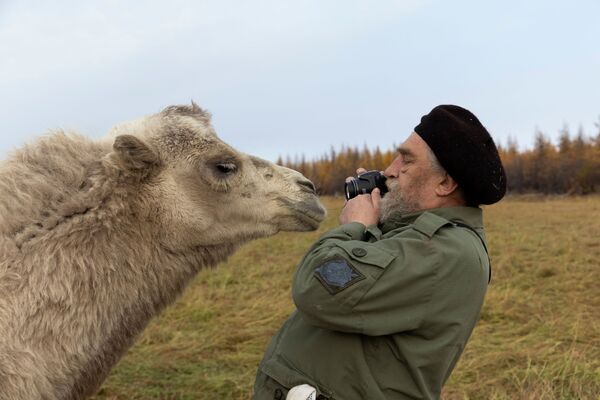 俄羅斯薩哈共和國，66歲的謝爾蓋•濟莫夫，是一位在俄羅斯東北科學站工作的科學家，他正試圖在離切爾斯基市不遠的更新世公園裡拍攝駱駝。 - 俄羅斯衛星通訊社