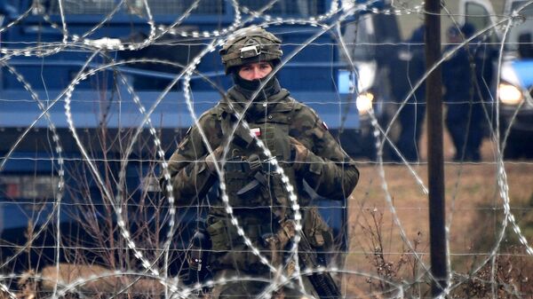 波蘭警方稱一警察在與白俄接壤的邊境受傷 - 俄羅斯衛星通訊社