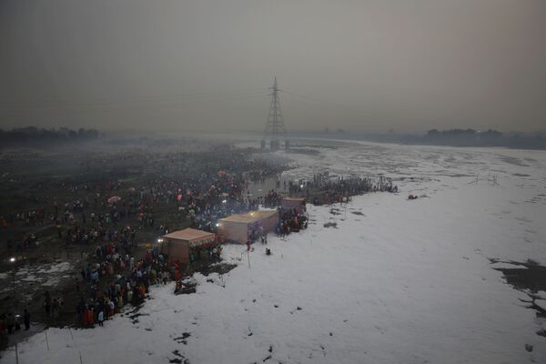 印度教信徒在有毒泡沫覆盖的新德里亚穆纳河中祭拜克哈特普迦节太阳神。 - 俄罗斯卫星通讯社