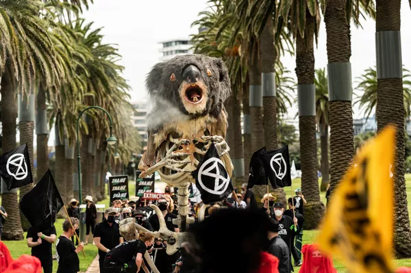反抗滅絕組織（Extinction Rebellion）成員為澳大利亞考拉舉辦葬禮。 - 俄羅斯衛星通訊社