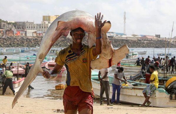 索馬里摩加迪沙居民身扛捕獲的海魚。 - 俄羅斯衛星通訊社