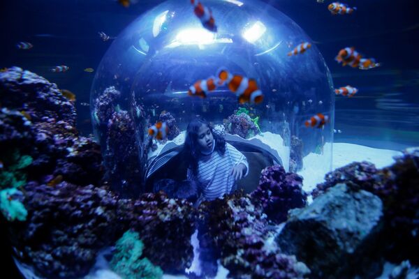 游客们在阿布扎比国家水族馆（The National Aquarium Abu Dhabi）参观。 - 俄罗斯卫星通讯社
