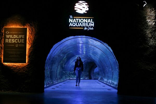 遊客們在阿布扎比國家水族館（The National Aquarium Abu Dhabi）參觀。 - 俄羅斯衛星通訊社