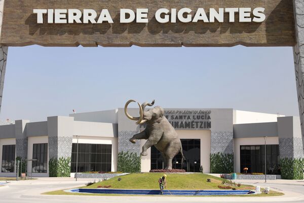 墨西哥Quinametzin新猛獁象博物館。 - 俄羅斯衛星通訊社
