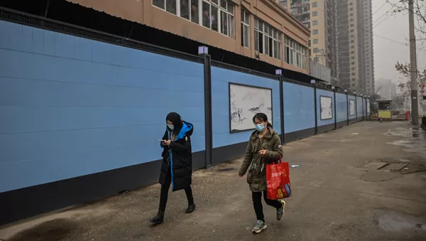 Huanan Seafood  - 俄羅斯衛星通訊社