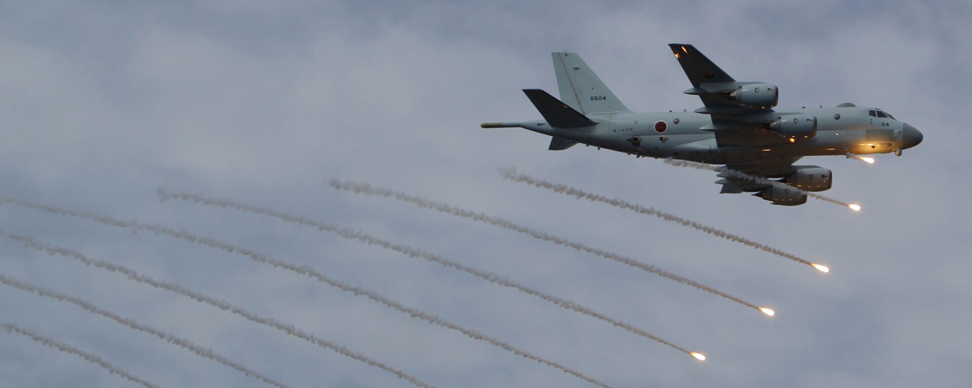 Japan Maritime Self-Defense Force's P-1 patrol plane - 俄罗斯卫星通讯社, 1920, 20.11.2021