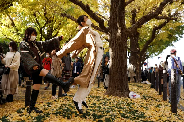東京女孩在秋葉中擺拍留念。 東京女孩在秋葉中擺拍留念。 - 俄羅斯衛星通訊社