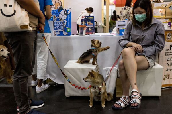泰国Pet Expo 2021宠物用品博览会在曼谷举行。图为宠物主与小狗参加现场活动。 - 俄罗斯卫星通讯社