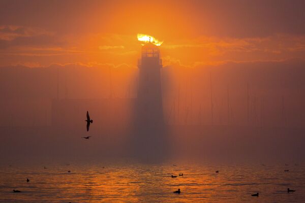 攝影師安德魯•麥克卡雷（Andrew McCaren）拍攝的斯卡伯勒燈塔入圍2021年歷史攝影師大賽決賽評選。 - 俄羅斯衛星通訊社