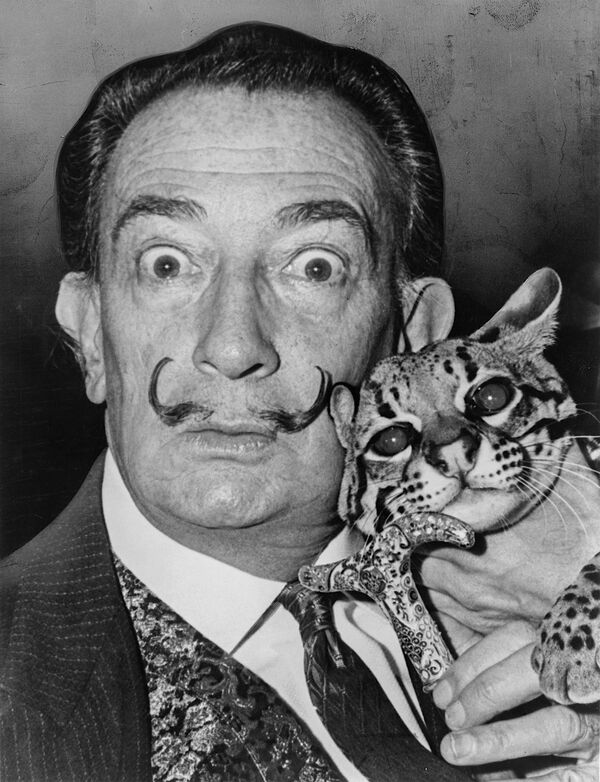1965年，西班牙画家萨尔瓦多•达利与爱宠豹猫“巴布”。 - 俄罗斯卫星通讯社