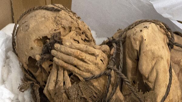 秘鲁卡哈马奎拉考古发掘区出土的木乃伊干尸。 - 俄罗斯卫星通讯社