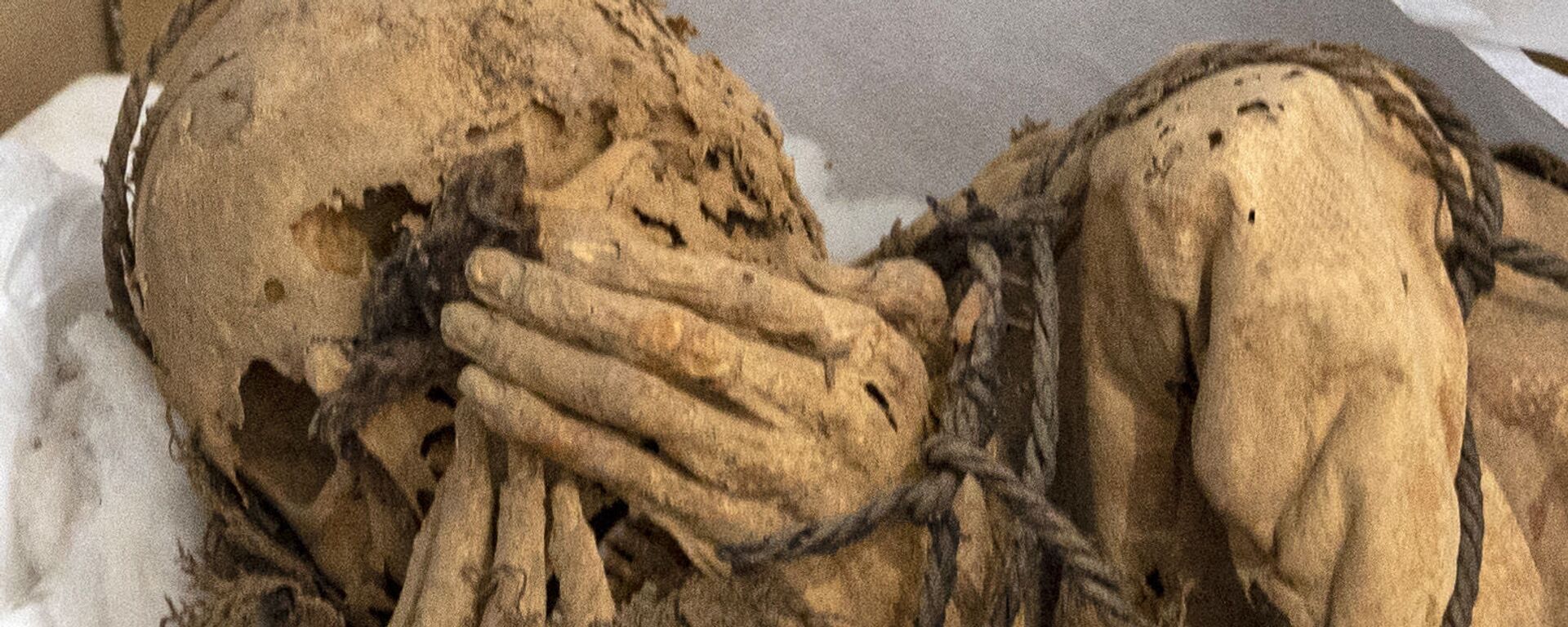 秘鲁卡哈马奎拉考古发掘区出土的木乃伊干尸。 - 俄罗斯卫星通讯社, 1920, 01.12.2021