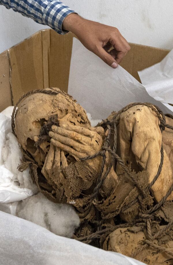 秘鲁卡哈马奎拉考古发掘区出土的木乃伊干尸。 - 俄罗斯卫星通讯社
