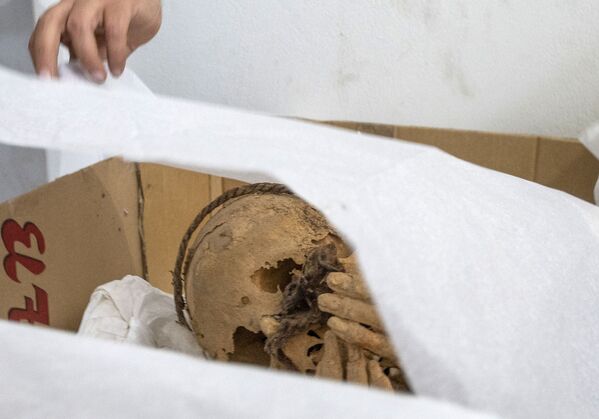 秘魯卡哈馬奎拉考古發掘區出土的木乃伊乾屍。 - 俄羅斯衛星通訊社