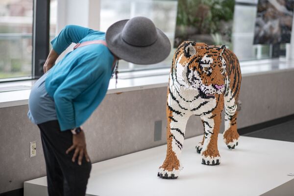 洛杉磯加州科學中心展出的老虎雕塑。 - 俄羅斯衛星通訊社