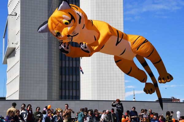 符拉迪沃斯托克老虎節慶祝活動中的老虎氣球。 - 俄羅斯衛星通訊社