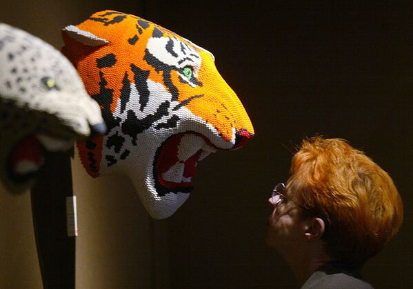 參觀者在巴黎國際當代藝術博覽會（FIAC）上觀看蘇格蘭藝術家大衛•馬赫的作品《老虎》。 - 俄羅斯衛星通訊社
