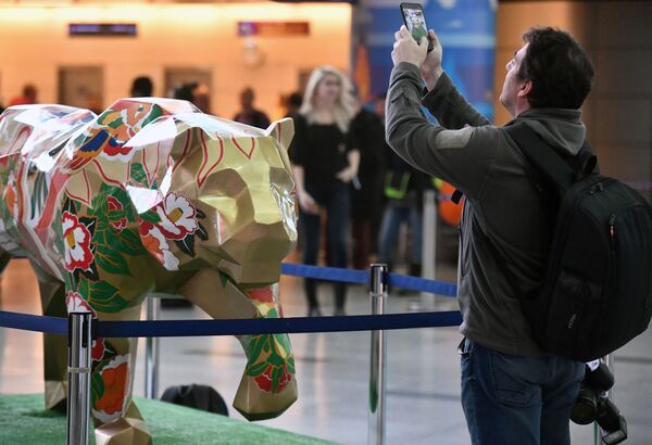 莫斯科弗努科沃机场举行的“野猫游行”艺术节上的老虎雕塑。 - 俄罗斯卫星通讯社