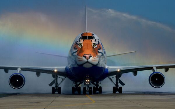 作為濱海邊疆區“條紋航班”項目的一部分，俄羅斯全祿航空公司（Transaero）的一架波音747-400客機噴繪成老虎的形象。 - 俄羅斯衛星通訊社