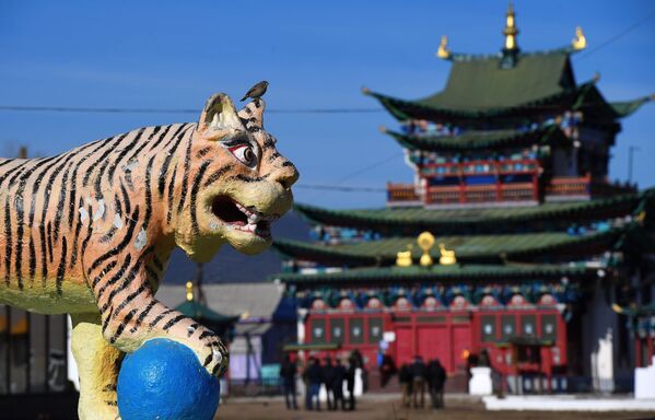 布里亚特上伊沃尔加村伊沃尔金斯克喇嘛寺附近的老虎雕塑。 - 俄罗斯卫星通讯社