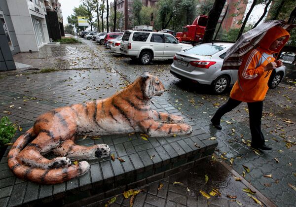 符拉迪沃斯托克一家商店附近的老虎雕塑。 - 俄罗斯卫星通讯社