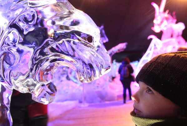 比利時布魯日冰雕節，一個小男孩正在觀看老虎冰雕。 - 俄羅斯衛星通訊社