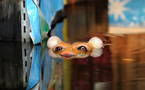 曼谷洪水中看到的老虎雕塑的眼睛和鼻子。 - 俄罗斯卫星通讯社