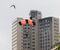 在小心巴西圣保罗市举行的低空跳伞比赛。