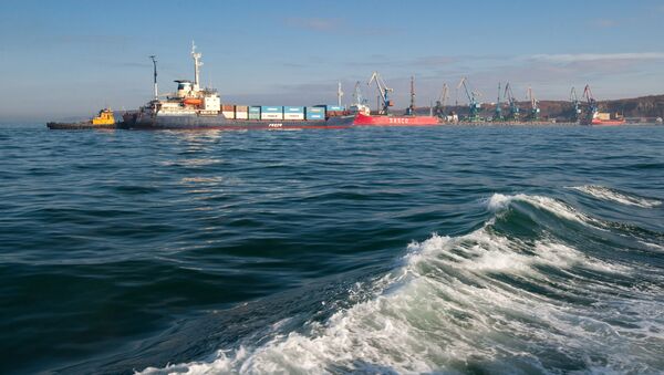 俄救援中心：萨哈林岛霍尔姆斯克搁浅的干货船未收损 - 俄罗斯卫星通讯社