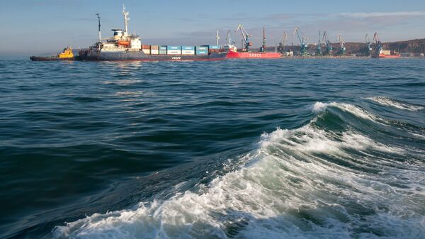 俄救援中心：薩哈林島霍爾姆斯克擱淺的乾貨船未收損 - 俄羅斯衛星通訊社